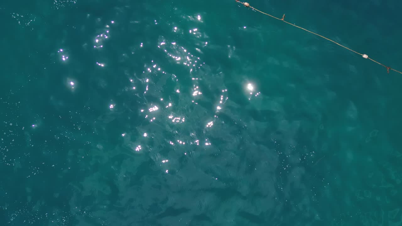 수영하는 동안 배에서 먹이는 상어 공격