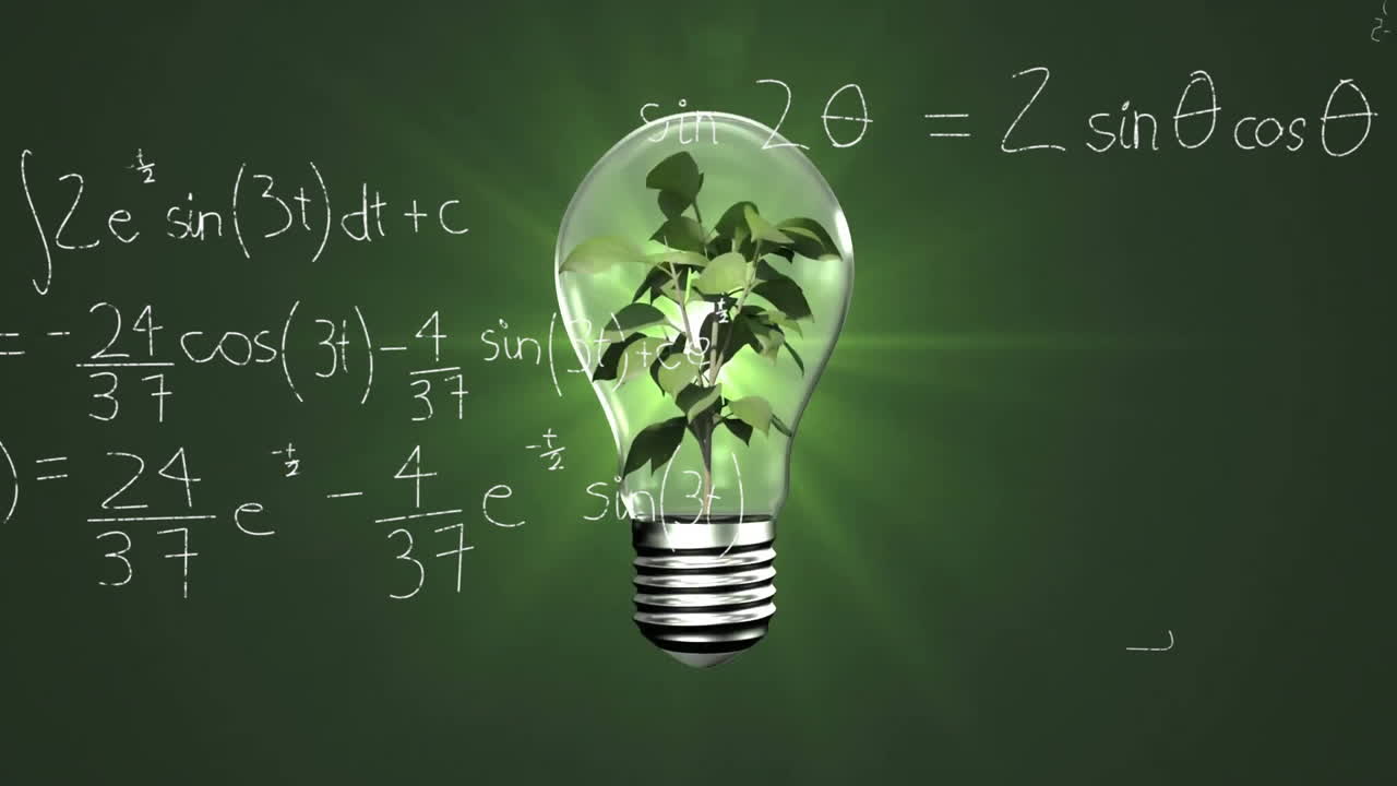 검은색 배경에 수학적 방정식 위에 식물과 함께 전구의 애니메이션
