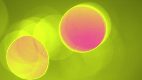 animación del texto de venta sobre formas sobre fondo verde.