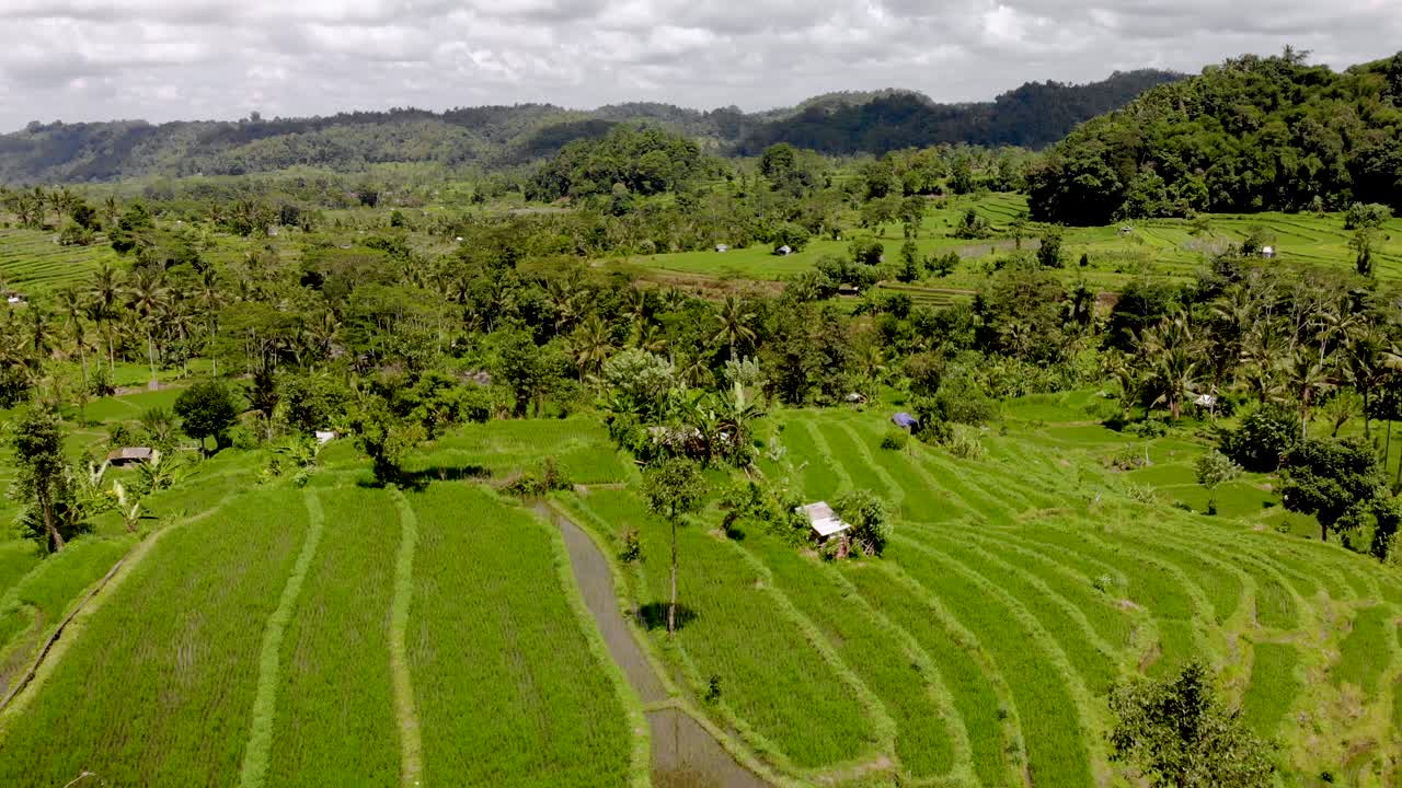 vista aérea de drones sobre tierras de cultivo y empanada de arroz en bali