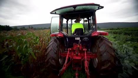 granjero conduciendo un tractor por el maizal