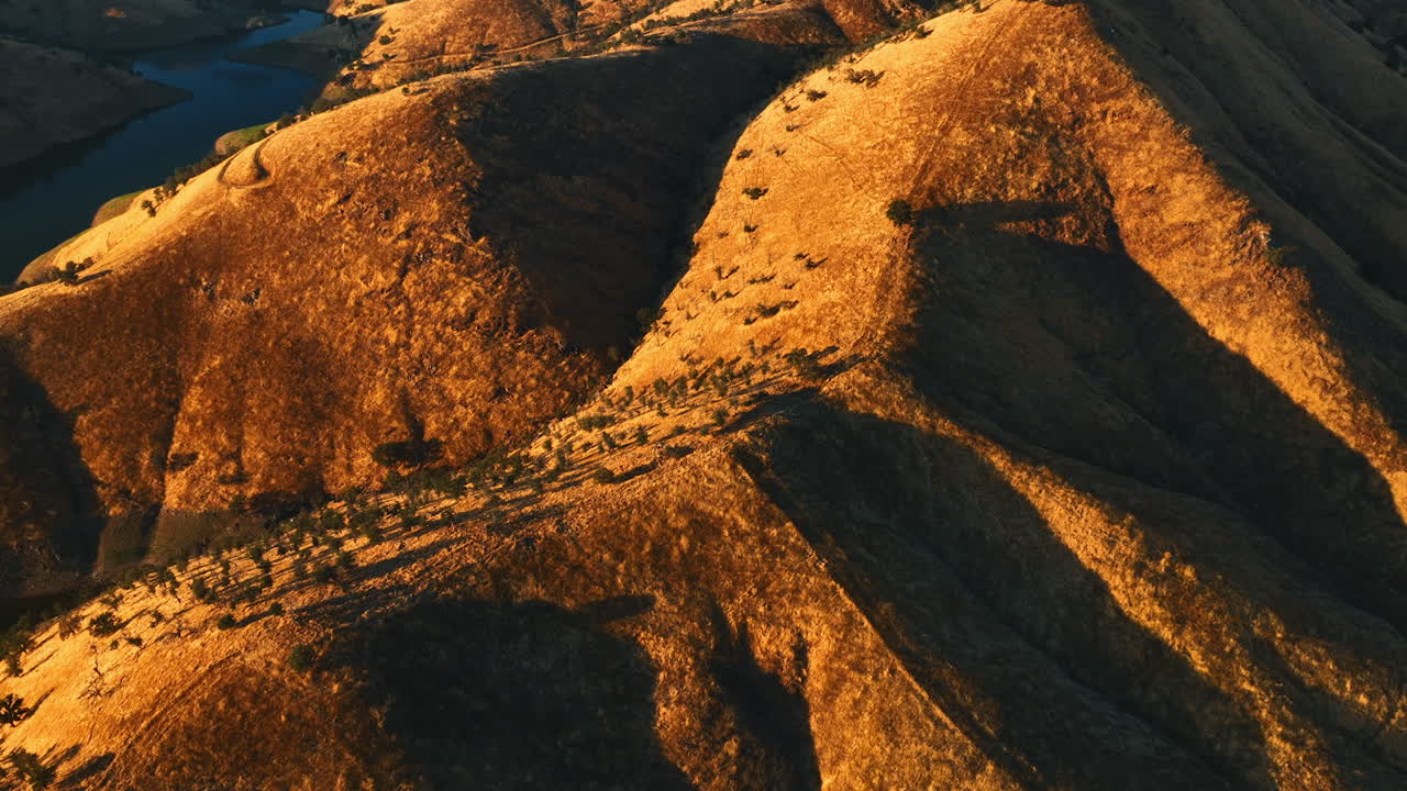Rarely growing plants on the slopes of smooth rocks. Drone rising above the mountains in California desert.