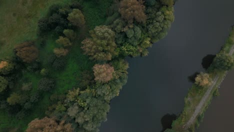 aerial top-down shot of autumn trees on the river bank