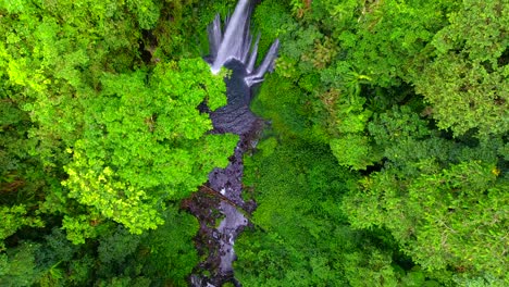 aerial view of tiu kelep waterfall, in the jungles of lombok - top down, drone shot