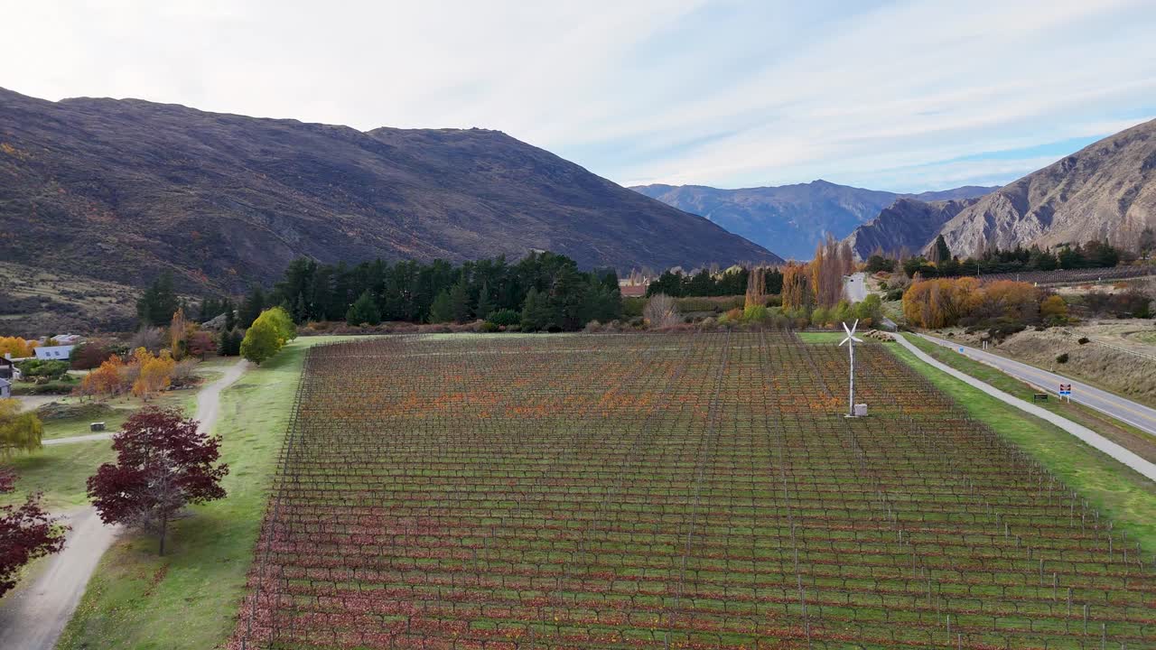 Scenic vineyard landscape with mountains and trees