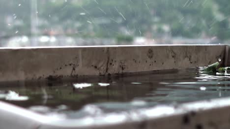 Cámara-Lenta-De-Gotas-De-Agua-Cayendo-En-Una-Caja-De-Flores-Inundada-Durante-La-Lluvia-Con-Pequeñas-Olas-En-La-Superficie-Del-Agua-En-Un-Balcón-Y-Casas-En-El-Fondo-Borroso