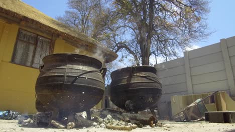 ollas de hierro fundido "potjie" en un fuego con un árbol en el fondo
