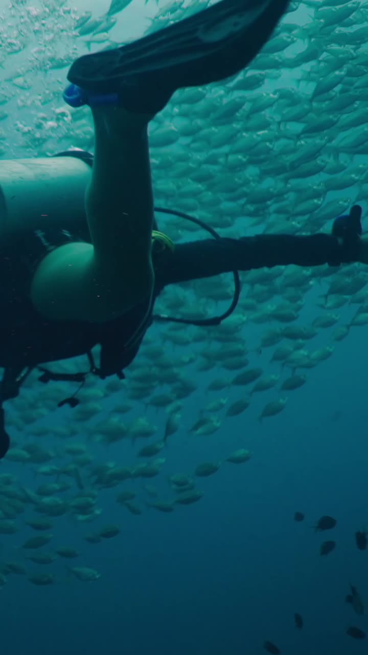 Scuba diving among a school of fish