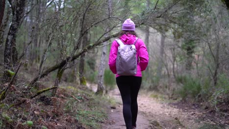 hiker girl, woman outdoors in mountain forest, nature walking, strolling, wandering at the woods on winter