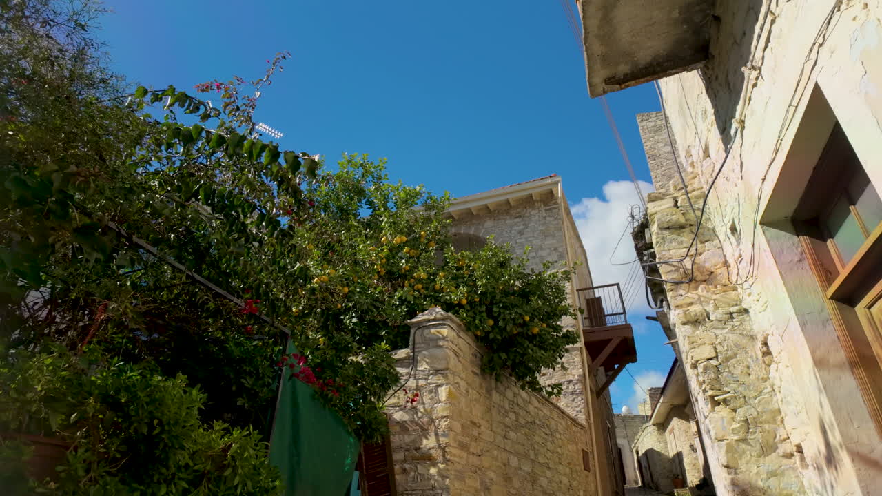 Vista verso l'alto di un vivace vicolo a Lefkara, Cipro, adornato con arbusti fioriti e l'architettura tradizionale in pietra del villaggio contro un cielo azzurro e limpido