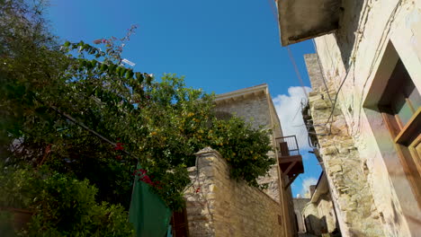 looking up at a vibrant alley in lefkara, cyprus, adorned with flowering shrubs and the traditional stone architecture of the village against a clear blue sky