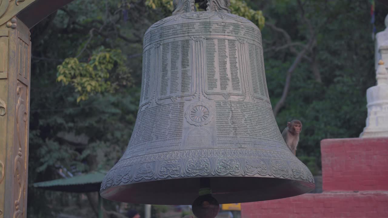Macaque Monkey Playing On Top Of A Large Bell Found In The Entrance Of Swayambhunath Stupa In Kathmandu, Nepal. - close up shot
