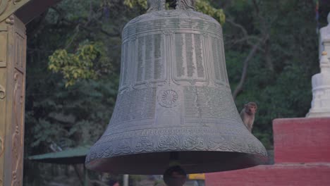 macaque monkey playing on top of a large bell found in the entrance of swayambhunath stupa in kathmandu, nepal. - close up shot