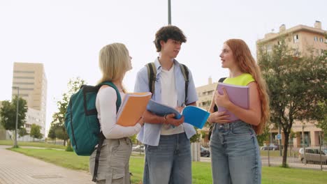 Students Discussing Studies on Campus