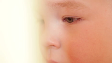 closeup portrait of a boy