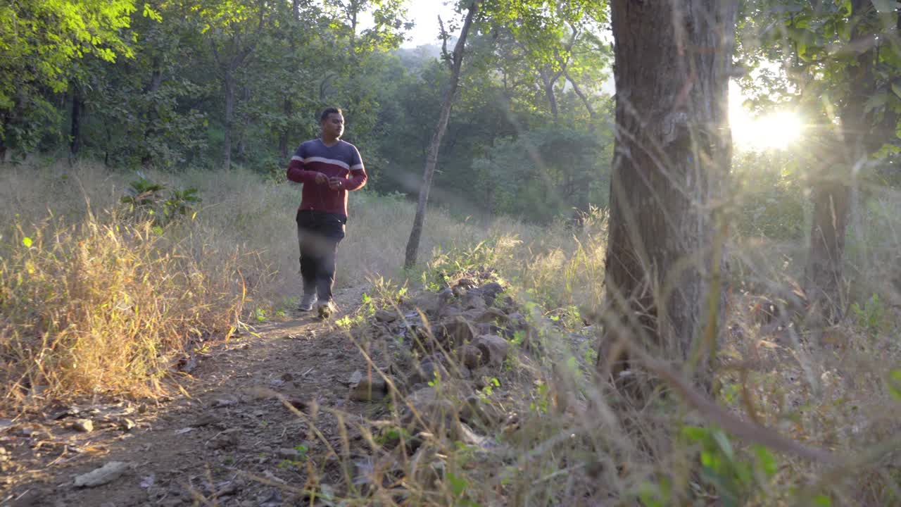 man walking coming from in deep jungle in the early morning sunlight sun rise flair in-camera revealing shot