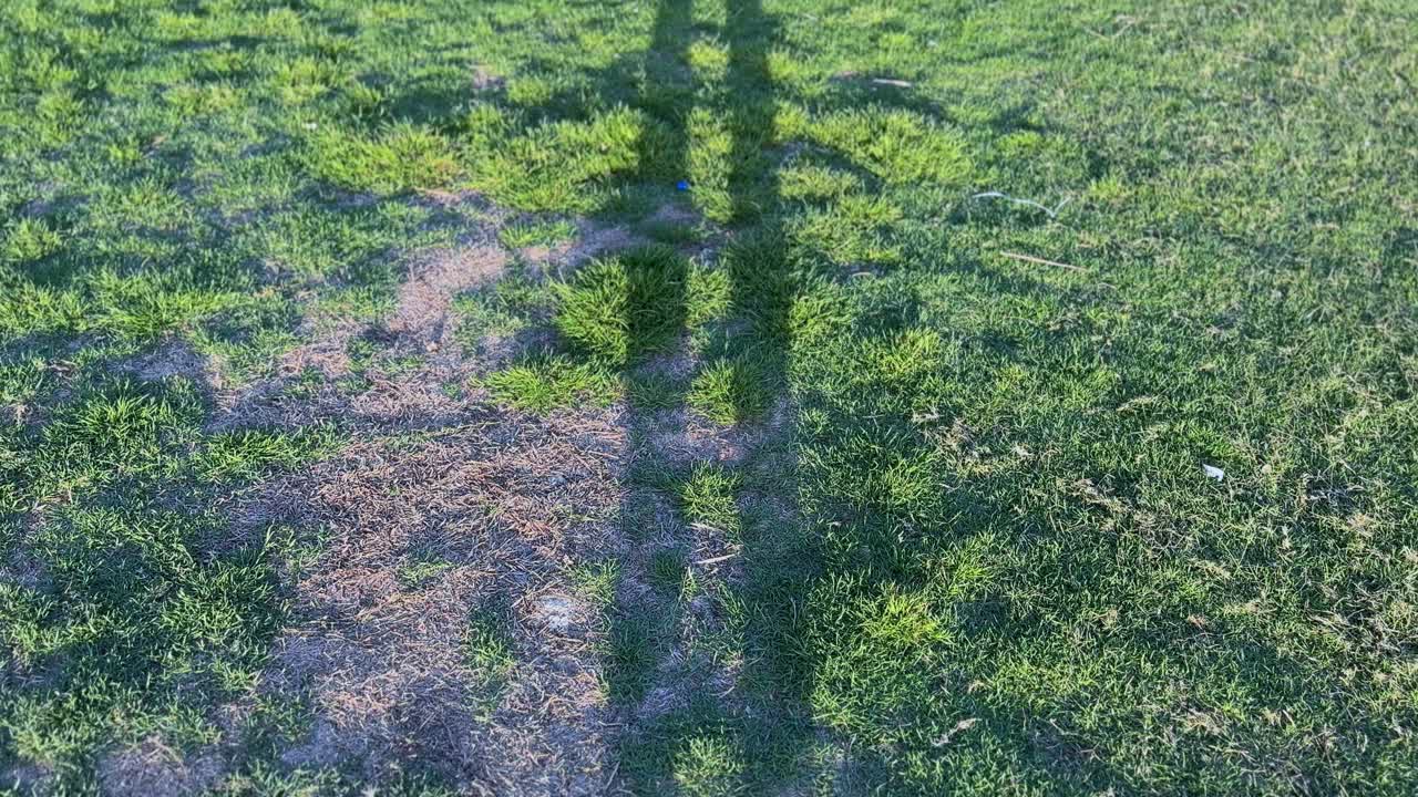 A person’s long shadow stretches across a lush green field during golden hour. Captured in 4K, ideal for concepts like solitude, mindfulness, nature, and reflection.