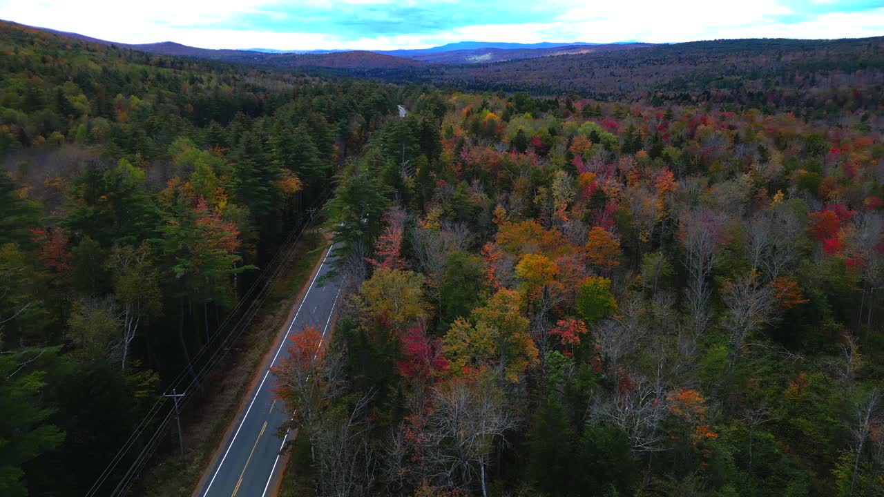 la carretilla aérea panorámica por encima del follaje de otoño revela una vasta extensión de bosque dividida por una carretera