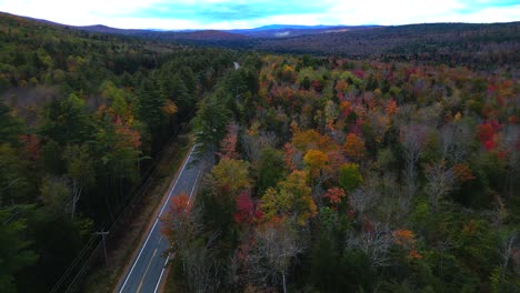 Plataforma-Rodante-Aérea-Panorámica-Sobre-El-Follaje-De-Otoño-Revela-Una-Vasta-Extensión-De-Bosque-Dividida-Por-Una-Carretera