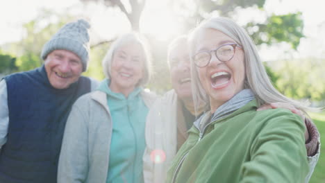 peace sign selfie, face and senior happy friends