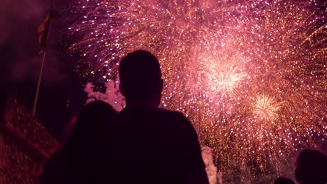 espectáculo de fuegos artificiales con espectadores