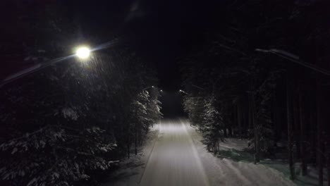 snowy night road through the forest