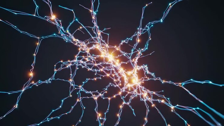 Neural Network Visualization