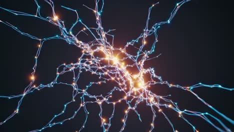 visualización de las redes neuronales