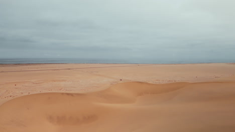 desert coastline with sand dunes
