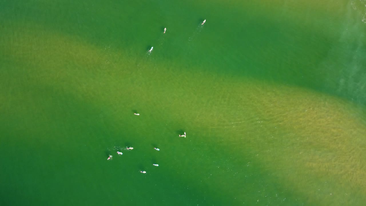 toma aérea a vista de pájaro de drones de surfistas que esperan en la playa de arena.