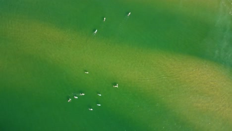 toma aérea a vista de pájaro de drones de surfistas que esperan en la playa de arena.