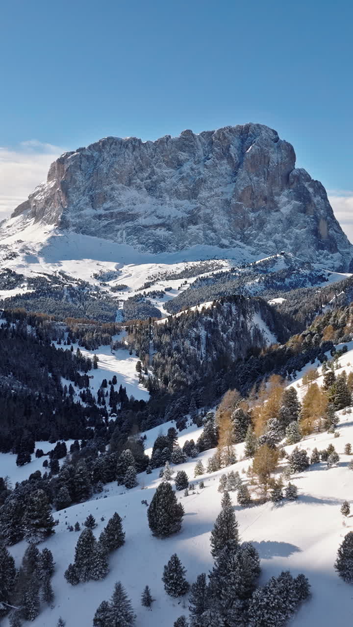 Vista aerea con drone del Passo Gardena, valico alpino nelle Dolomiti, Italia. Verticale