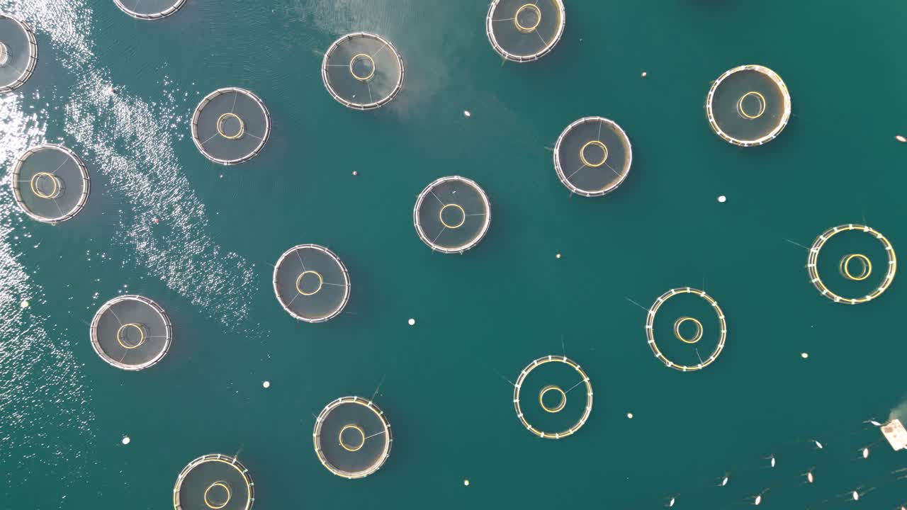 깨 ⁇ 한 물에서 다양한 농장  ⁇ 시 단위