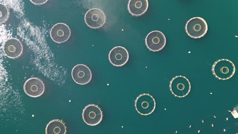 varias unidades de pesca de la granja en aguas limpias