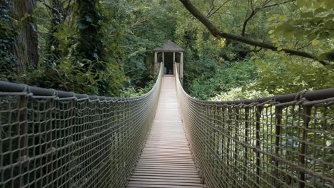Jungle-rope-bridge,-walking-shot-across