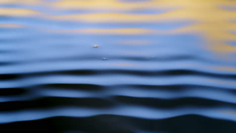 Echte-Wassertropfen-Fallen-In-Wasser-Und-Divergierende-Wasserkreise-Mit-Glattem-Farbhintergrund-Im-Studio-Mit-Kopierraum-Für-Die-Platzierung-Eines-Werbetextes