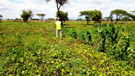 rural agricultural farms in kenya