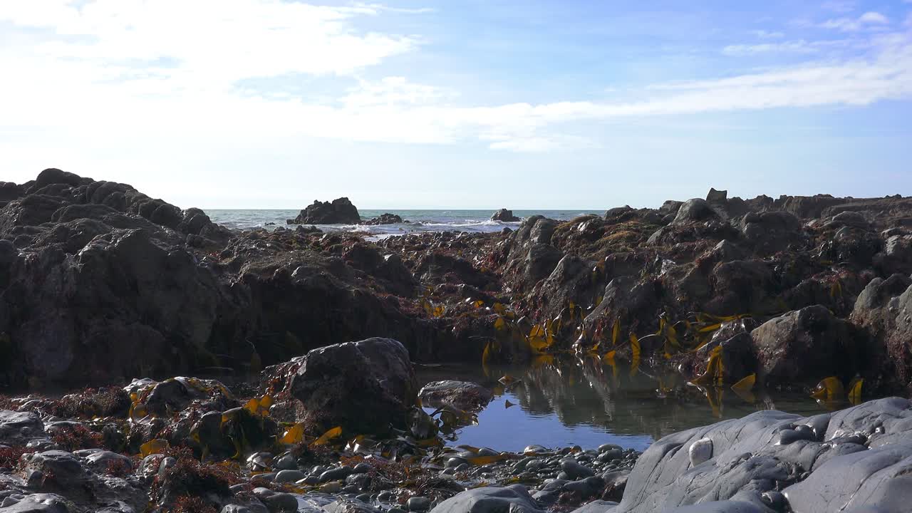 Ireland Epic Locations rock pools seaweed and distant breathing waves deserted beach Copper Coast Waterford Ireland
