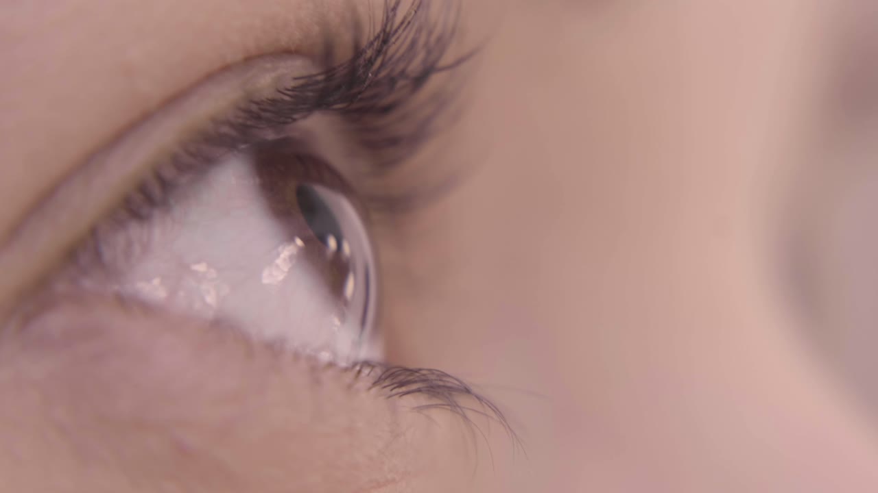 갈색 눈이 좌우로 보이고 극단적으로 깜박입니다.