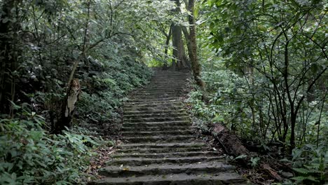 the steps in the national park leading to the bavi church ruins, vietnam