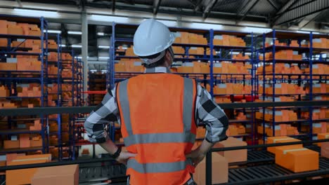 vista trasera de un ingeniero masculino asiático con casco de seguridad en el almacén con estantes llenos de mercancías de entrega. de pie con los brazos akimbo mirando a su alrededor, comprobando el stock en los estantes