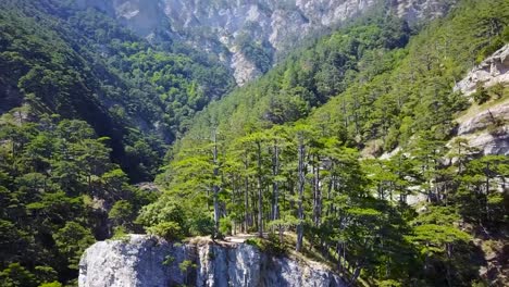 aerial drone video of cliffs and trees in a forest and mountains in portugal slowly moving further from the cliffs and exposing a large forest and mountains