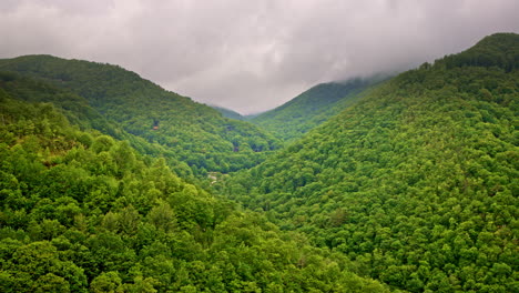cinematic drone glides above fog-wrapped ridgelines