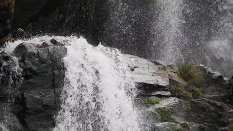 cascada del río cocodrilo que fluye y cae sobre rocas en los jardines botánicos nacionales walter sisulu en roodepoort, sudáfrica