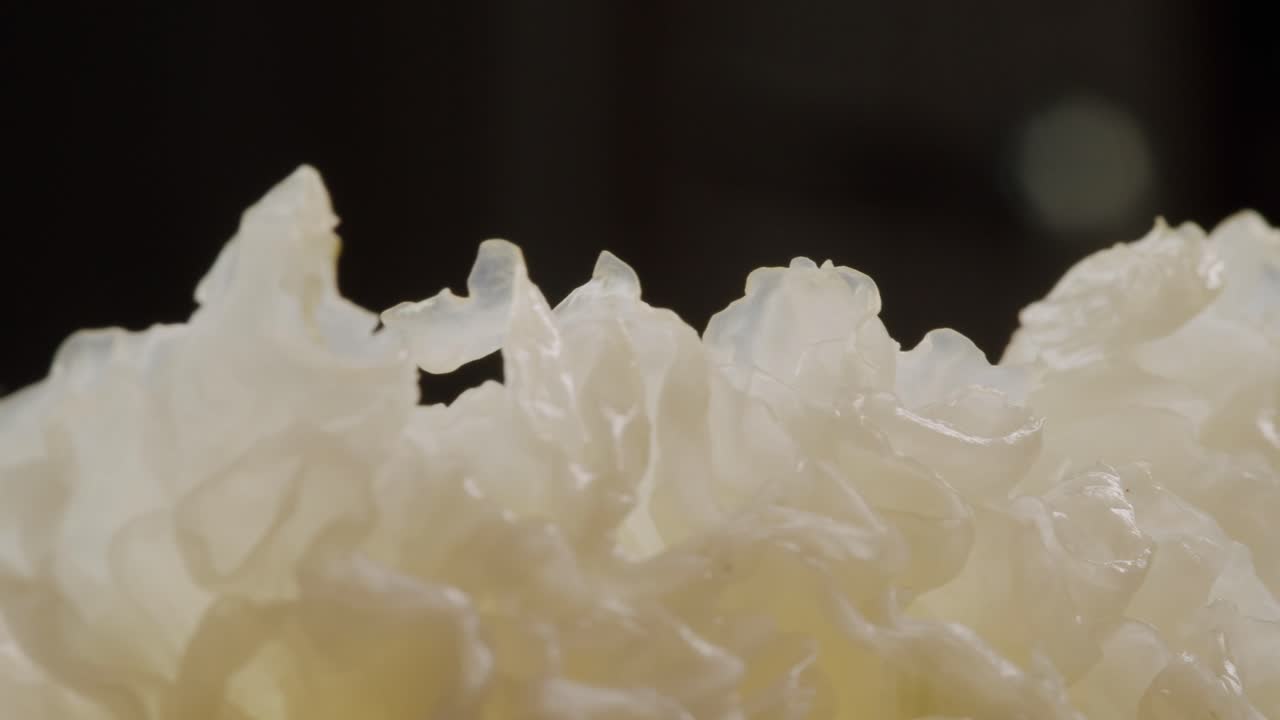 Tremella fermented salted Jamur salju or snow fungus, white colored fungi for food and medicine, popular in China and also Chinese cuisine.