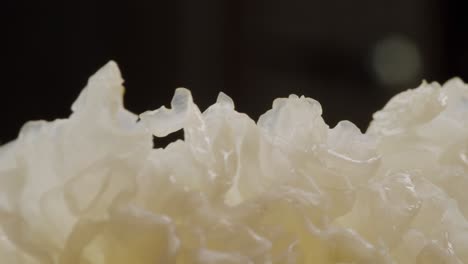 tremella fermented salted jamur salju or snow fungus, white colored fungi for food and medicine, popular in china and also chinese cuisine.