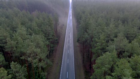 aerial descending shot of a long straight misty country road in the middle of a forest with the vanishing point in the center