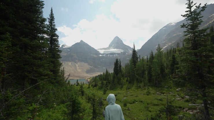 Escursionista donna che cammina lungo un sentiero escursionistico in uno splendido paesaggio montano americano verde.
