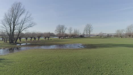 Drone-shot-of-nature-with-water-and-trees