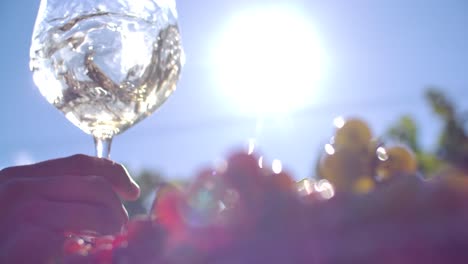 vaso agitado a mano medio lleno de vino blanco contra el sol en el cielo azul